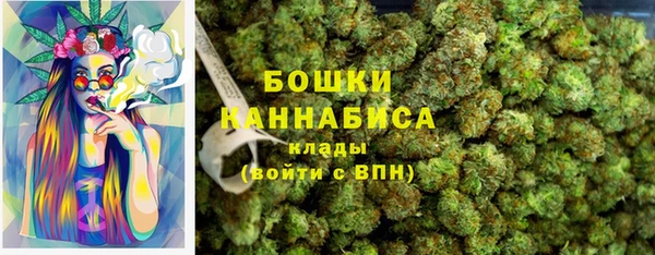 метадон Новодвинск