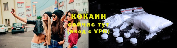 твердый Новозыбков