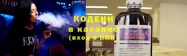 твердый Новозыбков