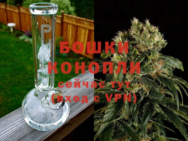 гидра Новокубанск