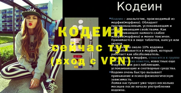 твердый Новозыбков