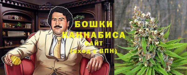 гидра Новокубанск