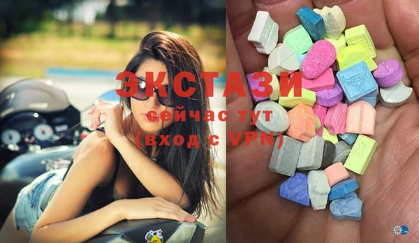 твердый Новозыбков