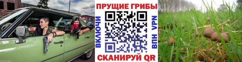 Галлюциногенные грибы мицелий Ужур